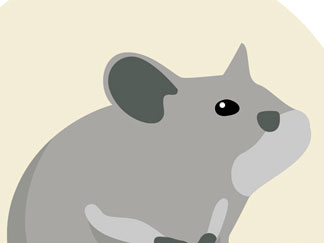 Medidas de prevencion para el Hantavirus